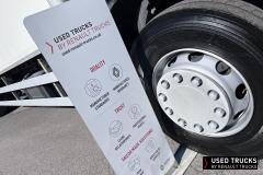 Renault Trucks D Wide
                                          250